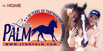 Lynn Palm Partnership Training